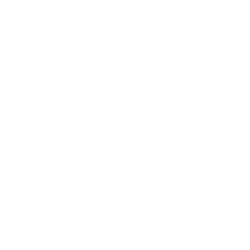 Logo Ledox